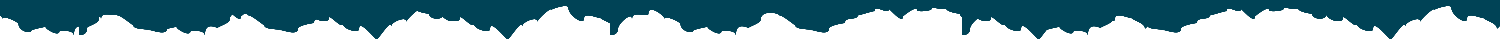 donate-wave2