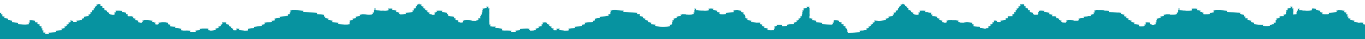 Footer Texture Image